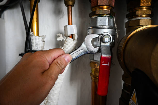 Best Clogged Drain Plumber  in Wausau, WI